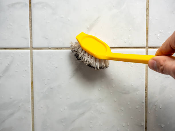 Best Same-Day Mold Removal  in , MI