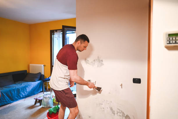 Best Commercial Mold Removal  in , MI